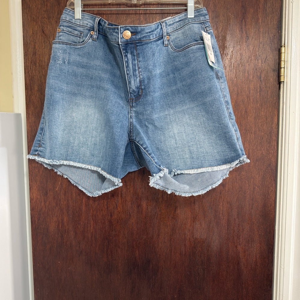 Size 16 Jean shorts. Never worn. Willing to negotiate pricing